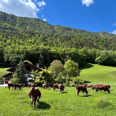 Appartement Lapreski, Spacieux, Proche Lac D'Annecy, Randonnees Montagne 通内 外观 照片