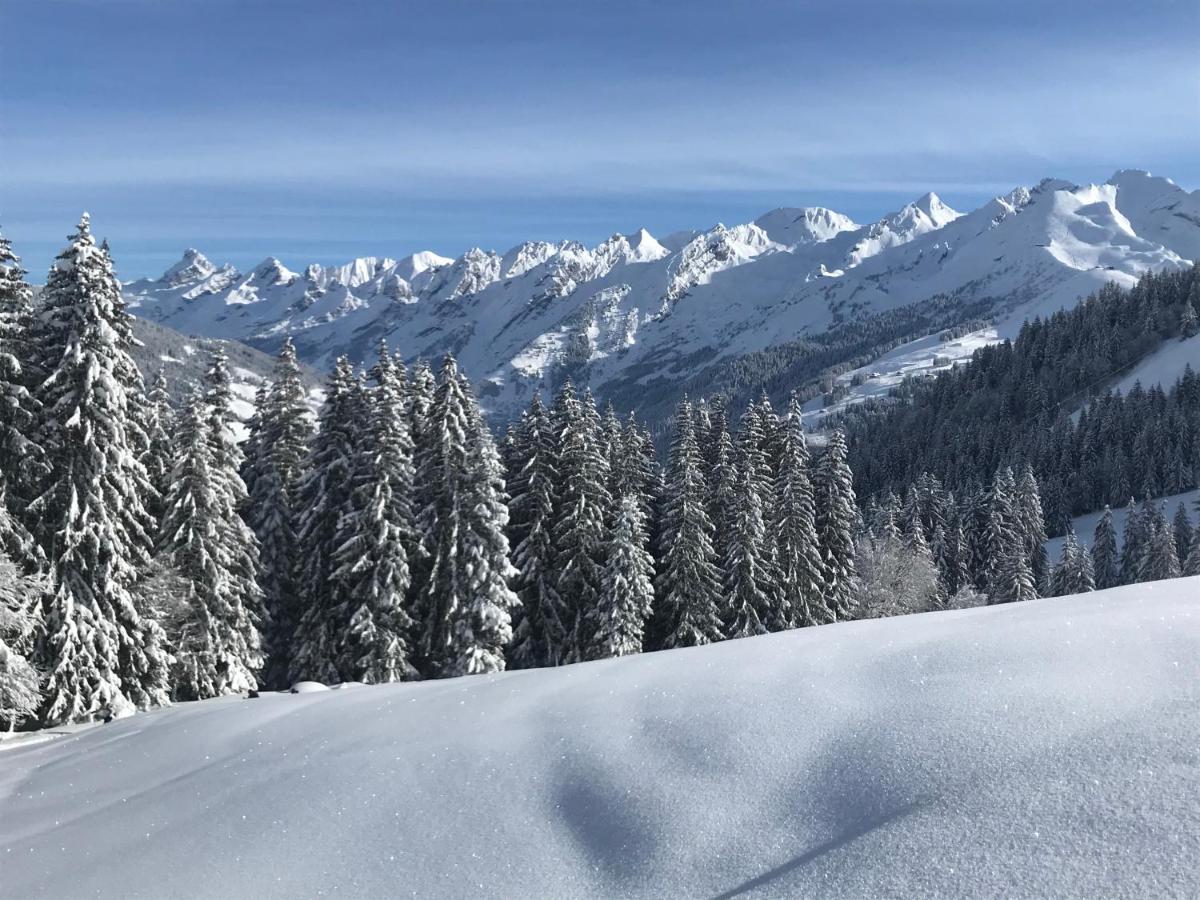 Appartement Lapreski, Spacieux, Proche Lac D'Annecy, Randonnees Montagne 通内 外观 照片
