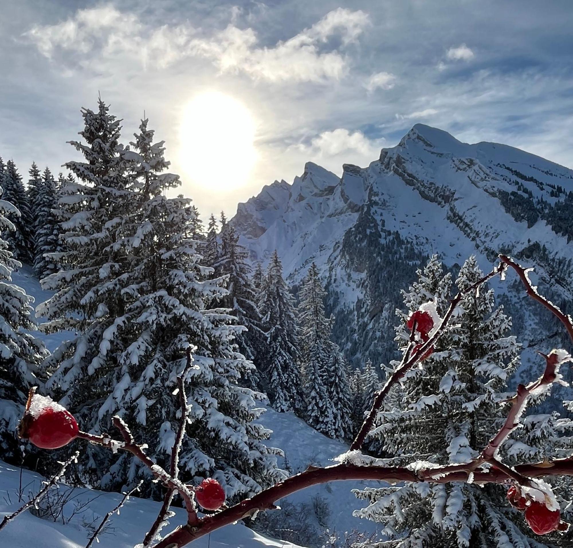 Appartement Lapreski, Spacieux, Proche Lac D'Annecy, Randonnees Montagne 通内 外观 照片