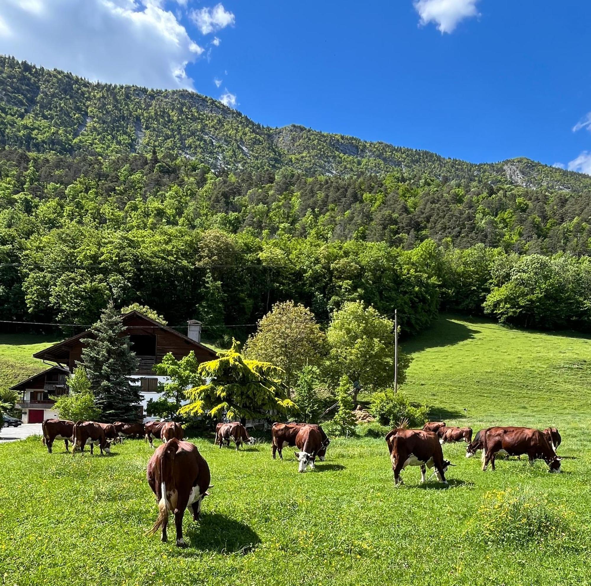Appartement Lapreski, Spacieux, Proche Lac D'Annecy, Randonnees Montagne 通内 外观 照片